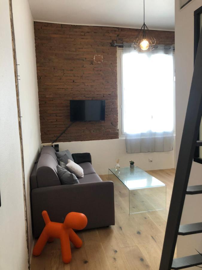 Charmant Studio De 20M2 En Hypercentre De 圖盧茲 外观 照片